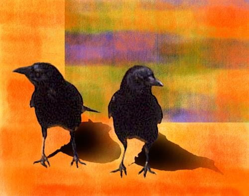 Crow Duo (Digital)