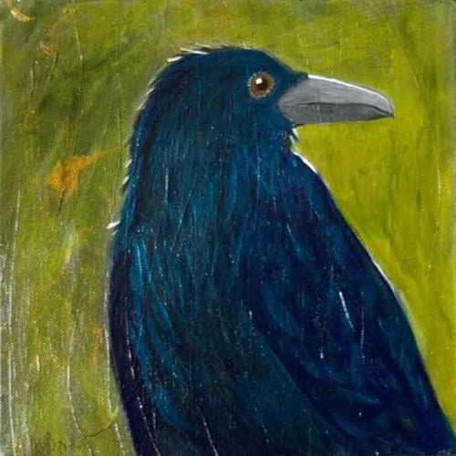Crow Iridescense