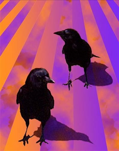 Crow Perspective (Purple and Orange)