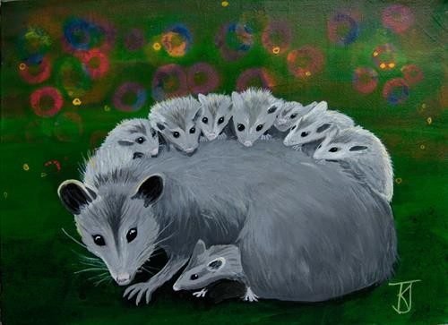 Opposum Family