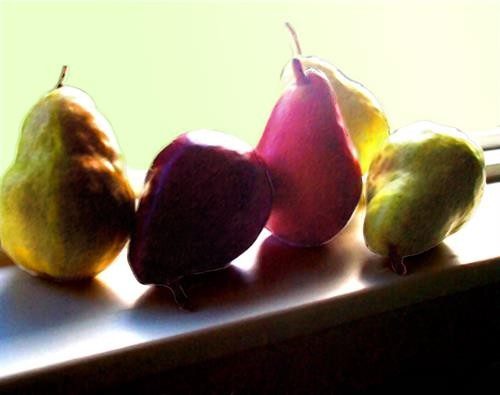 Pears in Window