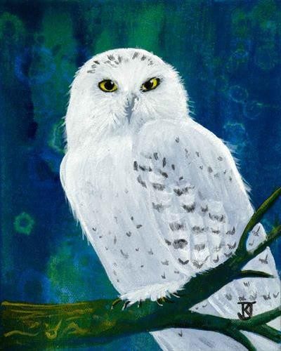 Snowy Owl