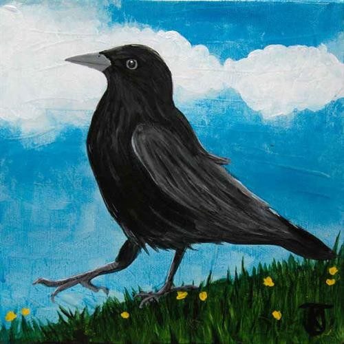 Strutting Crow