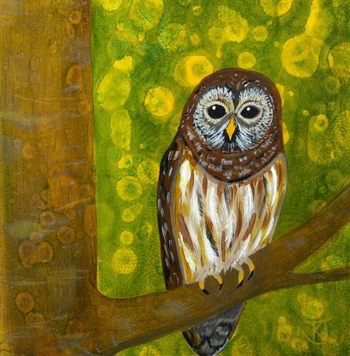 Barred Owl at Sunset