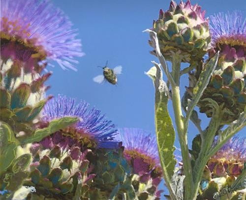 Bee Happy (Digital Photograph)